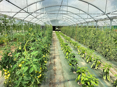 Le Pré De Chez Vous Primeur - Fruits Et Légumes à Segré-en-Anjou Bleu