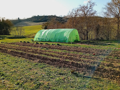 La Ferme De Lénairis, Primeur - Fruits Et Légumes à Cazalrenoux