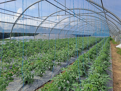 Chouettes, Légumes & Cie, Primeur - Fruits Et Légumes à Saint-Mayeux