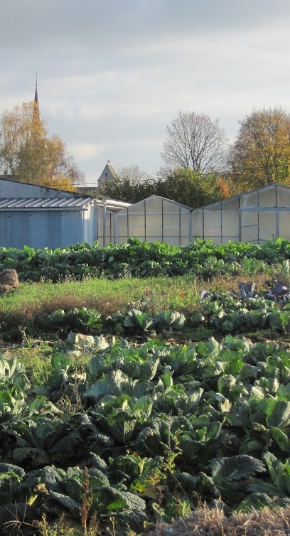 Les Champs Du Verdet, Primeur Fruits et Légumes à Parcé-sur-Sarthe