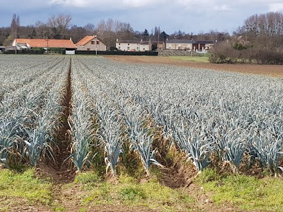 SCEA Foucher, Primeur Fruits et Légumes à Saint-Martin-de-Sanzay