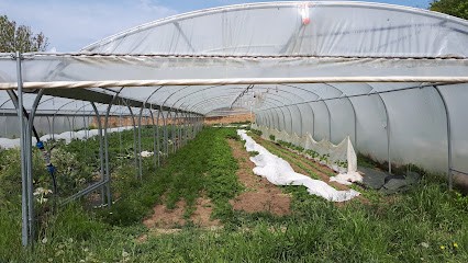 La Carotte Qui Dépote - Drive, Primeur Fruits et Légumes à Veauchette