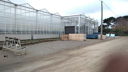 E.A.R.L De Kerlevic, Primeur Fruits et Légumes à Saint-Pol-de-Léon