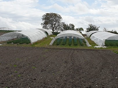Jacques Frédéric, Primeur Fruits et Légumes à Semussac