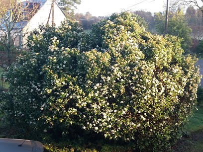 Chotard Alain, Primeur Fruits et Légumes à Augan