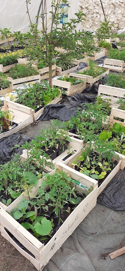 Les Lutins Maraichers, Primeur Fruits et Légumes à Auxerre