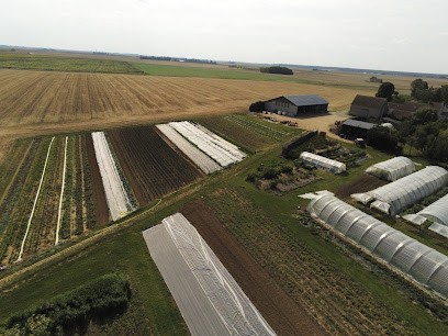 Le Panier d'ahaut, Primeur Fruits et Légumes à Lorges