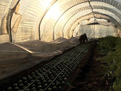 Les Jardins De Bons Temps, Primeur Fruits et Légumes à Quistinic