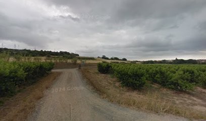La Fontaine Rouge, Primeur Fruits et Légumes à Trouillas