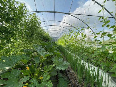 La Maraichère, Primeur Fruits et Légumes à Castelnau d'Auzan Labarrère