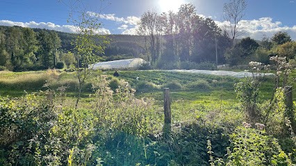 La Ferme Qui Prend Racines, Primeur Fruits et Légumes à Viscomtat