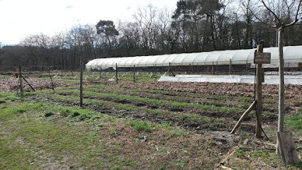 Les clefs du jardin, Primeur Fruits et Légumes à Canéjan