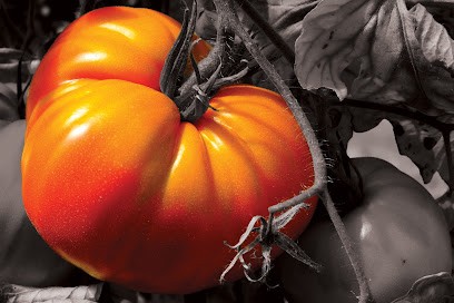 Le Jardin Elginois, Primeur Fruits et Légumes à Légny