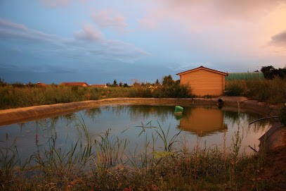Le Champ Des Saveurs, Primeur Fruits et Légumes à Collonges-au-Mont-d'Or
