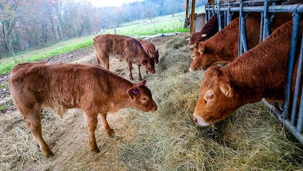 EARL La Roumagère, Primeur Fruits et Légumes à Aubas
