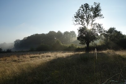 La Ferme des Senteurs Retrouvées, Primeur Fruits et Légumes aux Guerreaux