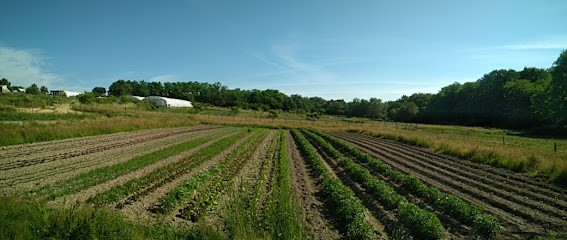 Les Jardins Du Fumat, Primeur Fruits et Légumes au Pizou
