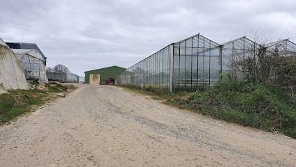 Bocel Yves, Primeur Fruits et Légumes à Pacé