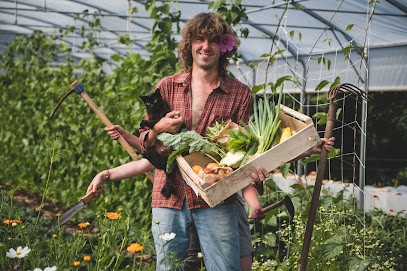 Les Jardins De Penkerlen, Primeur Fruits et Légumes à Rosporden