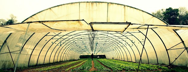 Ferme De Moyembrie, Primeur Fruits et Légumes à Coucy-le-Château-Auffrique