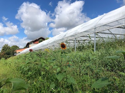 Les Jardins De Freya, Primeur Fruits et Légumes à Noilhan