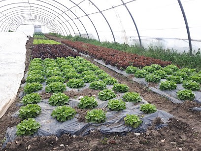 Petite Nature Gaec, Primeur Fruits et Légumes à Chambéry