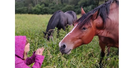 La Ferme Des 4 Saisons, Primeur Fruits et Légumes au Bouchage