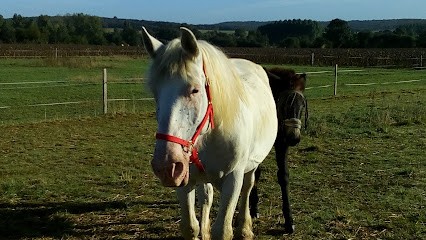 Au Trait Bio, Primeur Fruits et Légumes à Taillebourg