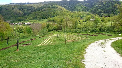 La Ferme De La Ballastière, Primeur Fruits et Légumes à Landry