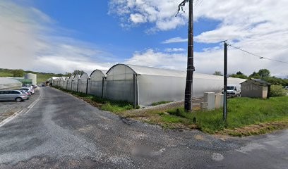 Earl Faur' Mate, Primeur Fruits et Légumes à Allassac