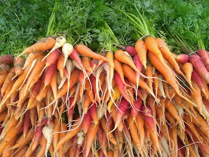 La Régalade, Primeur Fruits et Légumes à Monein