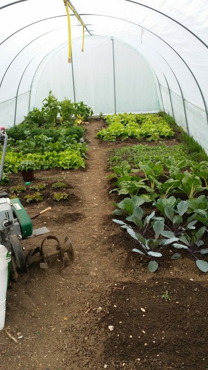 Maraîcher des Bauges, Primeur Fruits et Légumes à Héry-sur-Alby