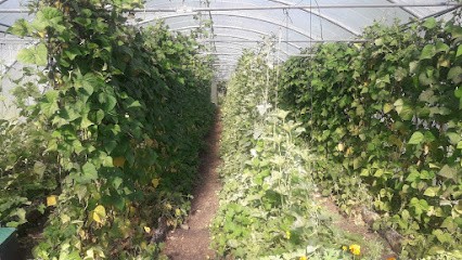 Les Jardins Du Muscardin, Primeur Fruits et Légumes à Luc-en-Diois