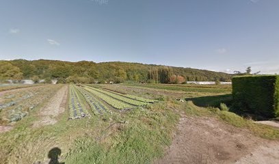 Hue Denis, Primeur Fruits et Légumes à Paluel