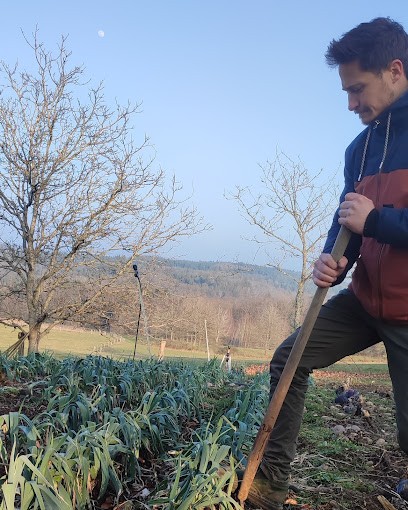 Jardin du Petit Fernand, Primeur Fruits et Légumes à Bellefontaine