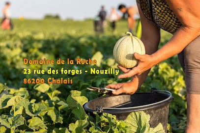 Melon Domaine de la Roche, Primeur Fruits et Légumes à Chalais