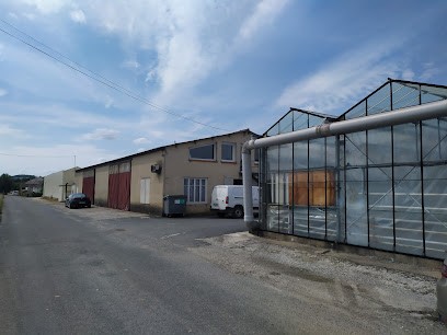 Printemps Du Lot Producteur Plants Maraîchers Biologiques Et Conventionnels, Primeur Fruits et Légumes à Sainte-Livrade-sur-Lot