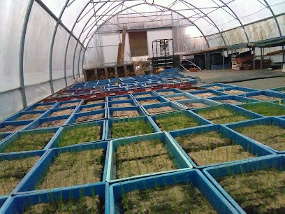 GAEC - Les champs des coteaux, Primeur Fruits et Légumes à Sapois