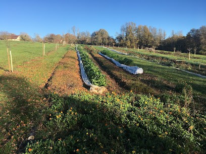 La Grenouillère Maraîchage En Agroécologie, Primeur Fruits et Légumes à Villiers-Saint-Benoît