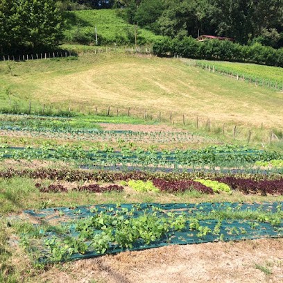 Légumes Bio Etxekoa - Maraîchère - Sallaberry Kattin, Primeur Fruits et Légumes à Sare
