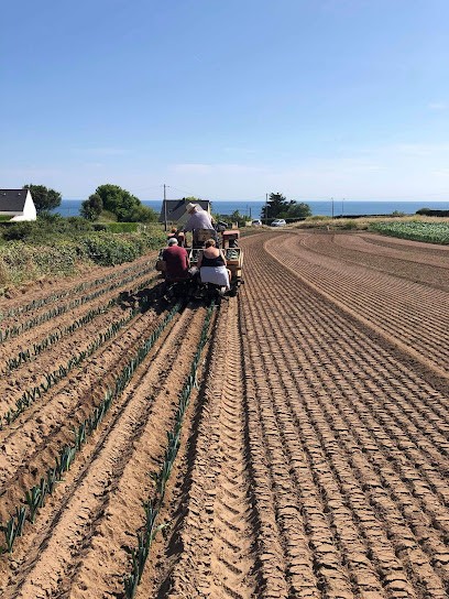 Burel Thierry Producteur Pommes De Terre, Primeur Fruits et Légumes à Plouhinec