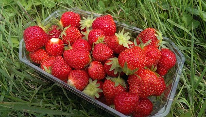 Les Potagers De La Folie, Primeur Fruits et Légumes à Villers-sur-Fère