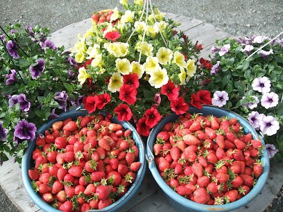 Le Potager Fleuri, Primeur Fruits et Légumes à Louverné