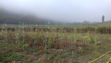 Les Jardins De Fuyssieux, Primeur Fruits et Légumes à Montcarra