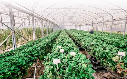 Les Jardins De La Neuville, Primeur Fruits et Légumes à Val de Livre