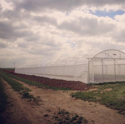 Les Jardins de Beauce, Primeur Fruits et Légumes à Charmont-en-Beauce
