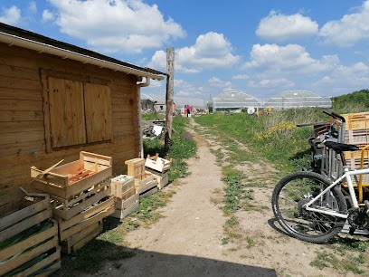 Au Jardin Du Bonheur, Primeur Fruits et Légumes à Saint-Jean-de-Braye