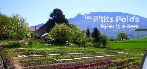 Ferme Les P'tits Poids, Primeur Fruits et Légumes à Yenne