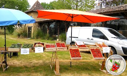 Fraise Producteur Et Revente Fruits/légumes, Primeur Fruits et Légumes à Montcaret