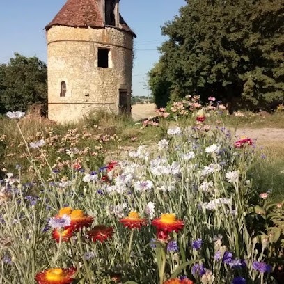 Délicieux jardin, Primeur Fruits et Légumes à Ceton
